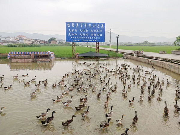 養(yǎng)殖基地
