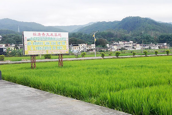 種植基地