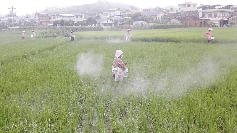 種植基地