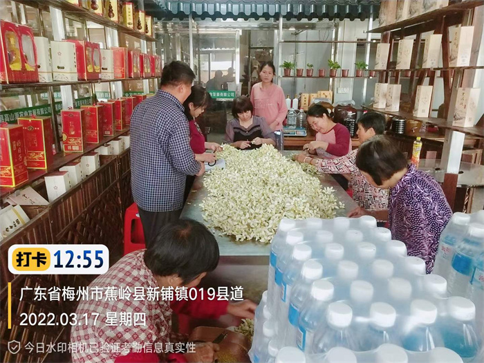 蕉嶺高山源農(nóng)業(yè)一年一次的摘柚花開(kāi)始啦！